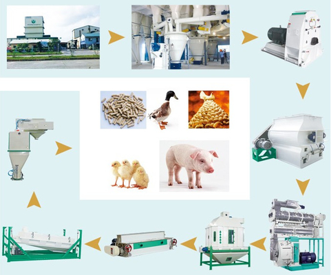 55kw Chicken Feed Production Line Animal Feed Manufacturing Machine